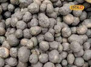 बहुत महंगी बिकती है ये दुर्लभ सब्जी कटरुआ, जानें इसे खाने के फायदे
