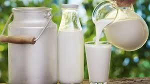   गर्म या ठंडा दूध: गर्मियों में सेहत के लिए क्या होता है  