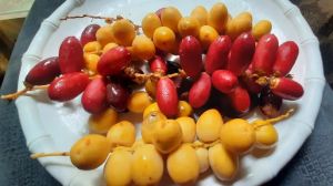  कच्चे खजूर खाने से सेहत को मिलते हैं ये 5 फायदे 