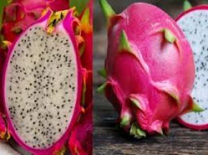 चेहरा साफ करने के लिए इस्तेमाल करें ड्रैगन फ्रूट के छिलके