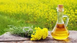  गले और छाती में जमे बलगम से राहत पाने के लिए अपनाएं ये 3 आयुर्वेदिक नुस्खे