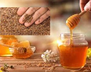   सर्दियों में अलसी और शहद से पाएं दमकती त्वचा 