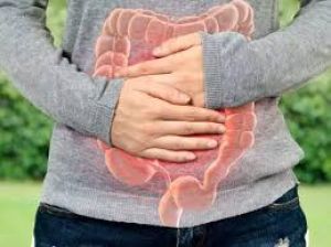  कब्ज की समस्या से रहते हैं परेशान तो फॉलो करें ये एक दिन का डाइट प्लान, मिलेगा आराम