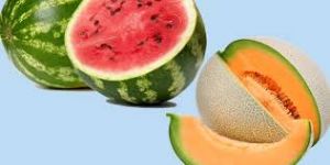  सेहत पर भारी पड़ेगा एक साथ इन फलों को खाना