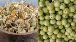 बालों को तेजी से बढ़ाने के लिए आंवला या भृंगराज क्या है फायदेमंद? बालों को तेजी से बढ़ाने के लिए आंवला या भृंगराज क्या है फायदेमंद?