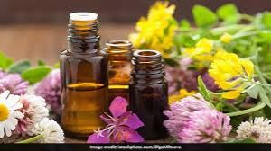 सर्दियों में कौन से 5 तेल सबसे ज्यादा असरदार होते हैं? 