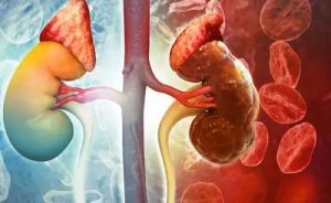  ट्रैवल के दौरान पेशाब रोकने की आदत से किडनी हो सकती है खराब