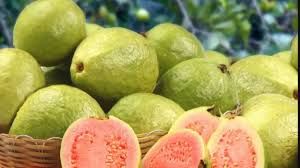  अमरूद को हल्का भूनकर क्यों खाना चाहिए?