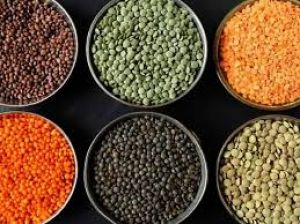   हाई कोलेस्ट्रॉल से परेशान? आज ही डाइट में शामिल करें ये 4 दालें 