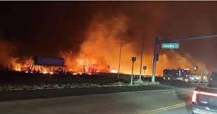 जंगल में लगी आग से मरने वालों की संख्या 100 के पार जंगल में लगी आग से मरने वालों की संख्या 100 के पार