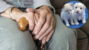 बुजुर्ग ने कुत्ते-बिल्लियों के नाम कर दी अपनी 23 करोड़ की दौलत बुजुर्ग ने कुत्ते-बिल्लियों के नाम कर दी अपनी 23 करोड़ की दौलत