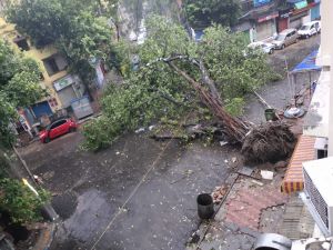  चक्रवात तूफान  अम्फान से बांग्लादेश में तबाही, सात लोगों की मौत