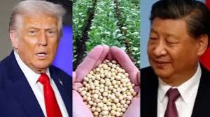  अमेरिका से हर साल 2.5 करोड़ टन सोयाबीन खरीदने को चीन तैयारः बेसेंट