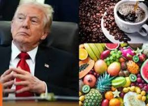 ट्रंप ने बीफ, कॉफी, कुछ फलों पर शुल्क हटाया