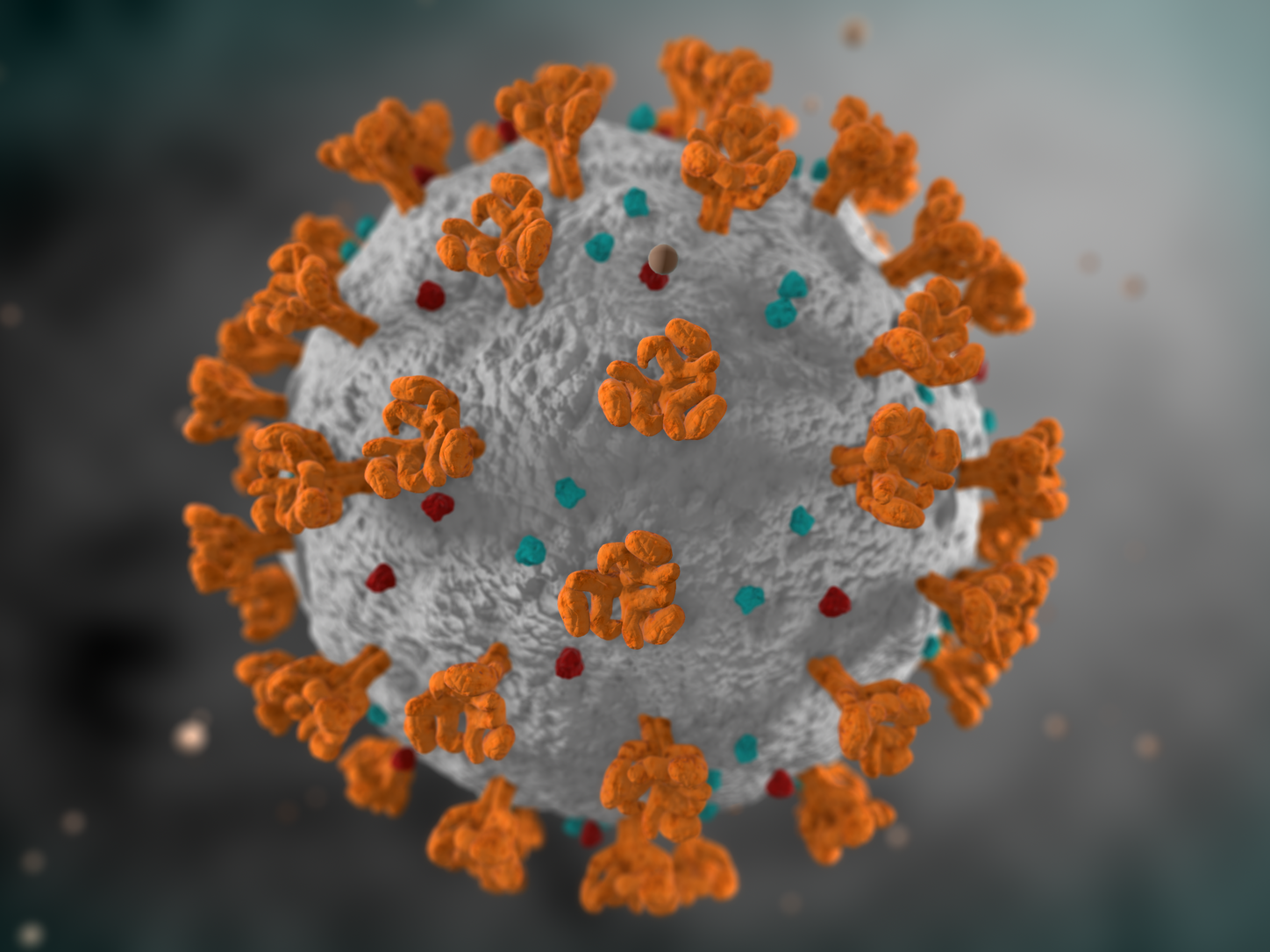 छत्तीसगढ़ में मंगलवार को मिले कोरोना के 3 नए मरीज... छत्तीसगढ़ में मंगलवार को मिले कोरोना के 3 नए मरीज...