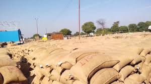 धान खरीदी में नया रिकॉर्ड: 13 जनवरी तक 17.77 लाख किसानों के खातों में पहुंचा 23,448 करोड़ धान खरीदी में नया रिकॉर्ड: 13 जनवरी तक 17.77 लाख किसानों के खातों में पहुंचा 23,448 करोड़