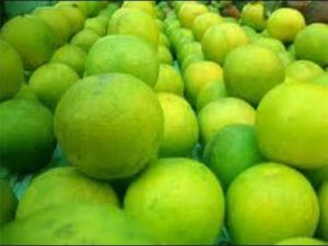  मौसंबी से चेहरा बनेगा खूबसूरत, पिंपल्स समेत ये समस्याएं होंगी दूर