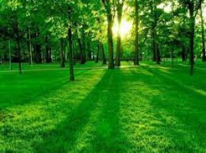 आपको मिलें ऐसे संकेत तो हो जाएं खुश, आने वाले हैं अच्छे दिन 