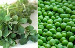 मेथी- मटर की सूखी सब्जी एक बार इस विधि से बनाएं मेथी- मटर की सूखी सब्जी एक बार इस विधि से बनाएं