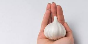 हाथों से लहसुन की महक दूर करने के लिए ट्राई करें यह तरीका हाथों से लहसुन की महक दूर करने के लिए ट्राई करें यह तरीका