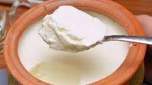 सर्दी के मौसम में दही जमाने के लिए अपनाएं ये ट्रिक्स, बिना दिक्कत आएगी मोटी मलाई सर्दी के मौसम में दही जमाने के लिए अपनाएं ये ट्रिक्स, बिना दिक्कत आएगी मोटी मलाई