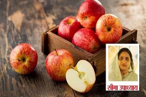 बेहद जायकेदार होता है सेब का हलवा, जानें इसकी आसान रेसिपी बेहद जायकेदार होता है सेब का हलवा, जानें इसकी आसान रेसिपी