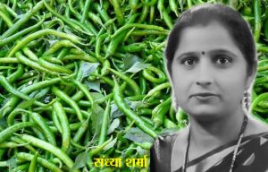 हरी मिर्ची इस तरह से करें स्टोर