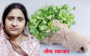 हरा धनिया लंबे समय तक रहेगा फ्रेश  