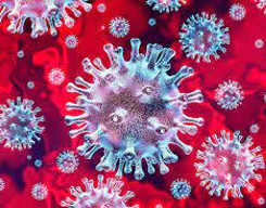 देश में कोविड-19 के उपचाराधीन मरीजों की संख्या घटकर 19,067 हुई देश में कोविड-19 के उपचाराधीन मरीजों की संख्या घटकर 19,067 हुई