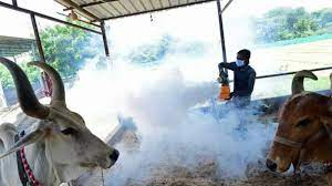 सात राज्यों एवं एक केंद्रशासित प्रदेश में लंपी त्वचा रोग से अबतक 7300 से अधिक मवेशियों की मौत सात राज्यों एवं एक केंद्रशासित प्रदेश में लंपी त्वचा रोग से अबतक 7300 से अधिक मवेशियों की मौत