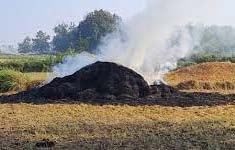 केंद्र ने दिल्ली, पड़ोसी राज्यों से पराली जलाने पर अंकुश के लिये रणनीति बनाने को कहा केंद्र ने दिल्ली, पड़ोसी राज्यों से पराली जलाने पर अंकुश के लिये रणनीति बनाने को कहा