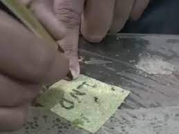 अनोखी पहल...छात्र ने तैयार किया किचन वेस्ट से पेपर....अब काई से पेपर बनाने की तैयारी अनोखी पहल...छात्र ने तैयार किया किचन वेस्ट से पेपर....अब काई से पेपर बनाने की तैयारी