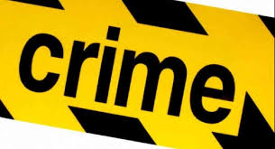 व्यक्ति ने पड़ोसी के पालतू कुत्ते को भौंकने पर गोली मार दी! व्यक्ति ने पड़ोसी के पालतू कुत्ते को भौंकने पर गोली मार दी!