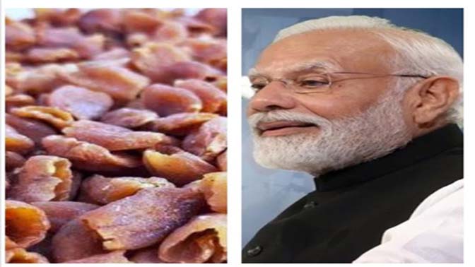 मन की बात: पीएम मोदी ने फूलों की अनोखी यात्रा का किया जिक्र, महुआ से कुकीज तक की सुनाई कहानी मन की बात: पीएम मोदी ने फूलों की अनोखी यात्रा का किया जिक्र, महुआ से कुकीज तक की सुनाई कहानी