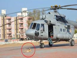 भारतीय कुत्तों को पहली बार हेलीकॉप्टर से नीचे उतरने और रिवर राफ्टिंग के लिए प्रशिक्षित किया जा रहा भारतीय कुत्तों को पहली बार हेलीकॉप्टर से नीचे उतरने और रिवर राफ्टिंग के लिए प्रशिक्षित किया जा रहा