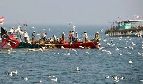 केंद्र ने गहरे समुद्र में मछली पकड़ने के नए नियम जारी किए, मछुआरों के लिए क्या हैं फायदे केंद्र ने गहरे समुद्र में मछली पकड़ने के नए नियम जारी किए, मछुआरों के लिए क्या हैं फायदे