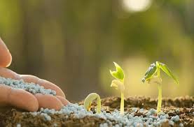 उर्वरक से लेकर रोजमर्रा के यौगिक कैसे बदल जाते हैं विस्फोटकों में उर्वरक से लेकर रोजमर्रा के यौगिक कैसे बदल जाते हैं विस्फोटकों में