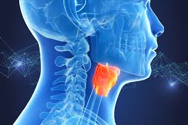 भारत में 62 फीसदी मुंह के कैंसर की वजह शराब और धुआं रहित तंबाकू का सेवन: अध्ययन भारत में 62 फीसदी मुंह के कैंसर की वजह शराब और धुआं रहित तंबाकू का सेवन: अध्ययन