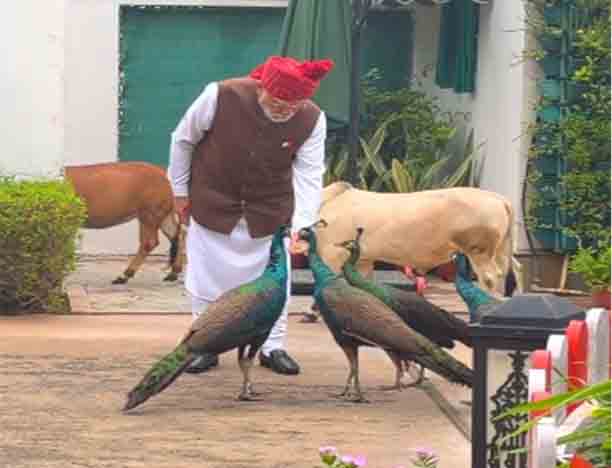 पीएम मोदी ने इंस्टाग्राम पर एक नए वीडियो में अपने दोस्तों के साथ बिताए पलों को साझा किया, बोले- ‘ये मेरी दैनिक दिनचर्या’ पीएम मोदी ने इंस्टाग्राम पर एक नए वीडियो में अपने दोस्तों के साथ बिताए पलों को साझा किया, बोले- ‘ये मेरी दैनिक दिनचर्या’