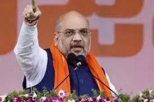  शाह ने कहा देश को एकजुट करने का काम करती है -हिंदी भाषा