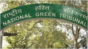  एनजीटी ने नोएडा की दो इकाइयों पर 25 लाख रुपये का जुर्माना लगाया