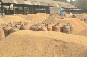  न्यूनतम समर्थन मूल्य पर 48 घंटे में 10.53 करोड़ रुपये की धान खरीद