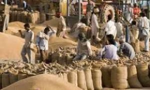 सरकार ने न्यूनतम समर्थन मूल्य पर एक करोड़ सात लाख टन धान खरीदा