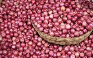  सरकार ने प्याज की कीमतों पर निगरानी के लिए भंडारण की सीमा तय की
