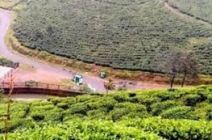 केरल में ‘हरित जांच चौकियां' की गईं स्थापित
