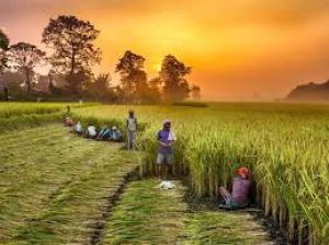  इस राज्य में किसानों के उत्पीडऩ पर कम से कम तीन साल की कैद और 5 लाख रु. तक के जुर्माने का प्रावधान