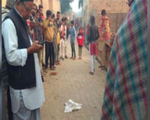 गली में पड़ा मिला नवजात का शव, नोच रहे थे कुत्ते 