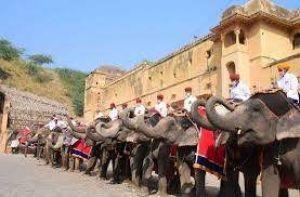 जयपुर  के आमेर में हाथी सवारी फिर से शुरू
