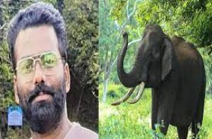 हाथी के हमले में समाचार चैनल के कैमरामैन की मौत