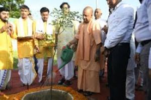 व्यापक जनसहभागिता से एक दिन में 36.50 करोड़ पौधरोपण का बना नया कीर्तिमान: योगी